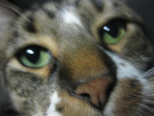 2-08-2013 036 (Large)